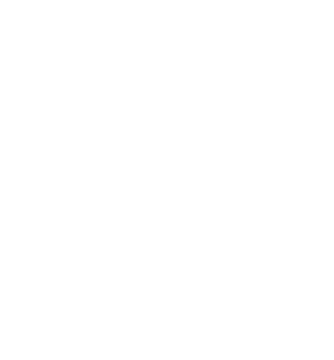 icon representing insurance