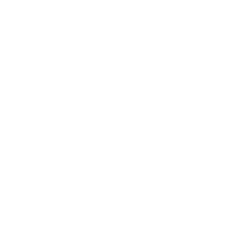 icon representing one choice over others